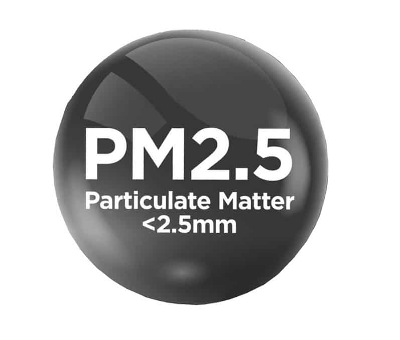 PM 2.5 particulate matter