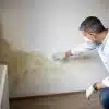 What Is the Best Anti Mould Paint in the UK