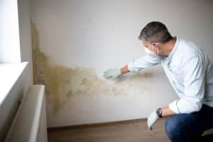 What Is the Best Anti Mould Paint in the UK