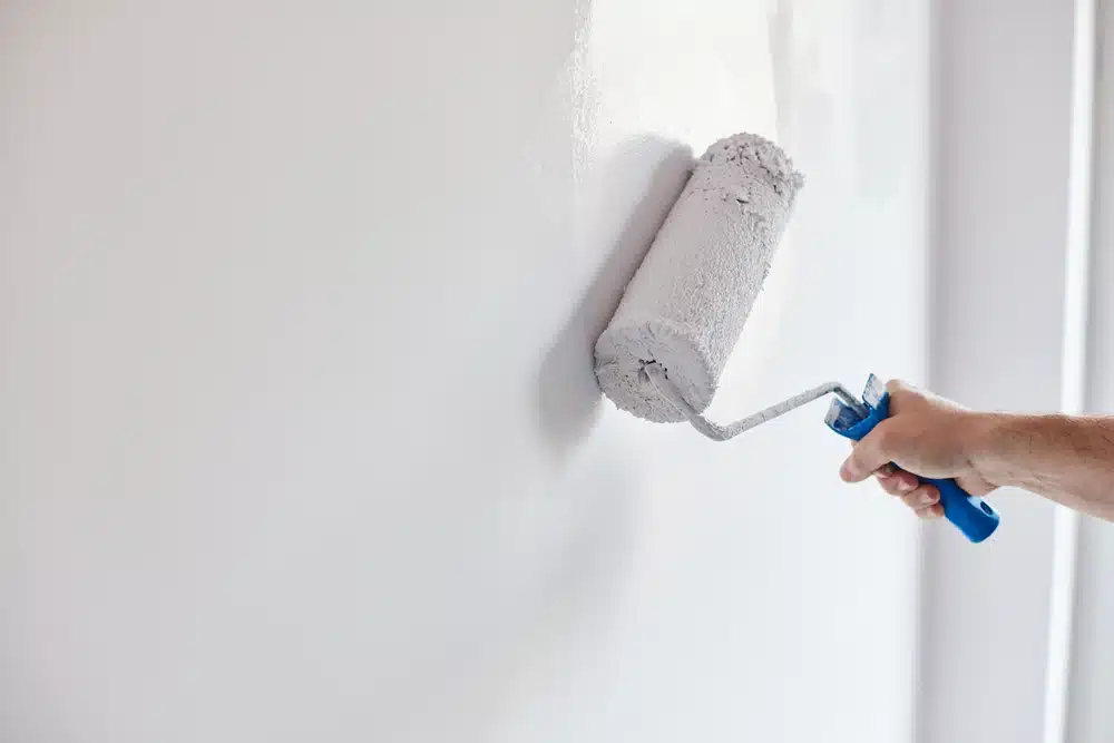 Should You Use Anti Condensation or Anti Mould Paint