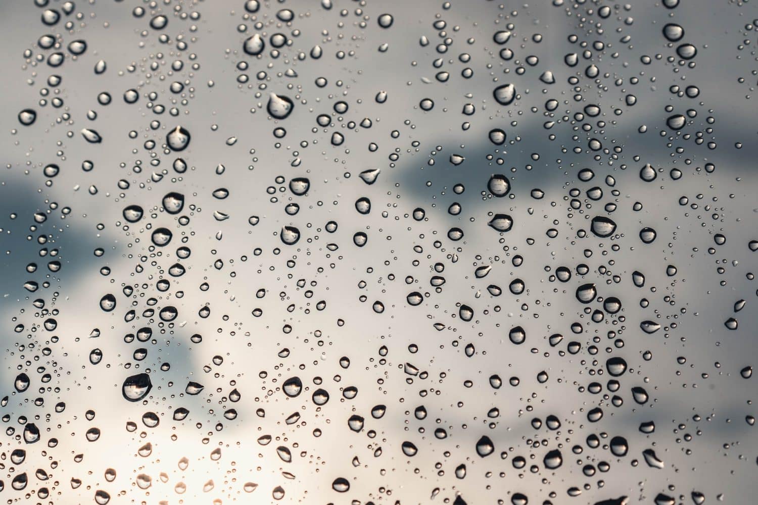 condensation water droplets