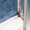 What Causes Mould in Bathrooms