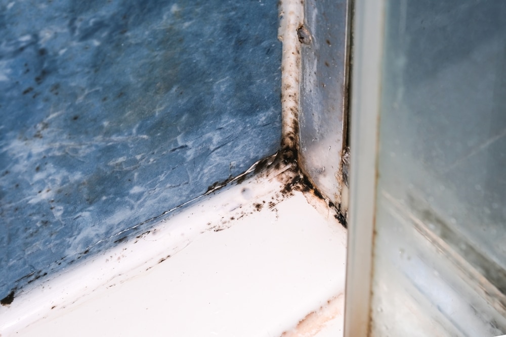 What Causes Mould in Bathrooms