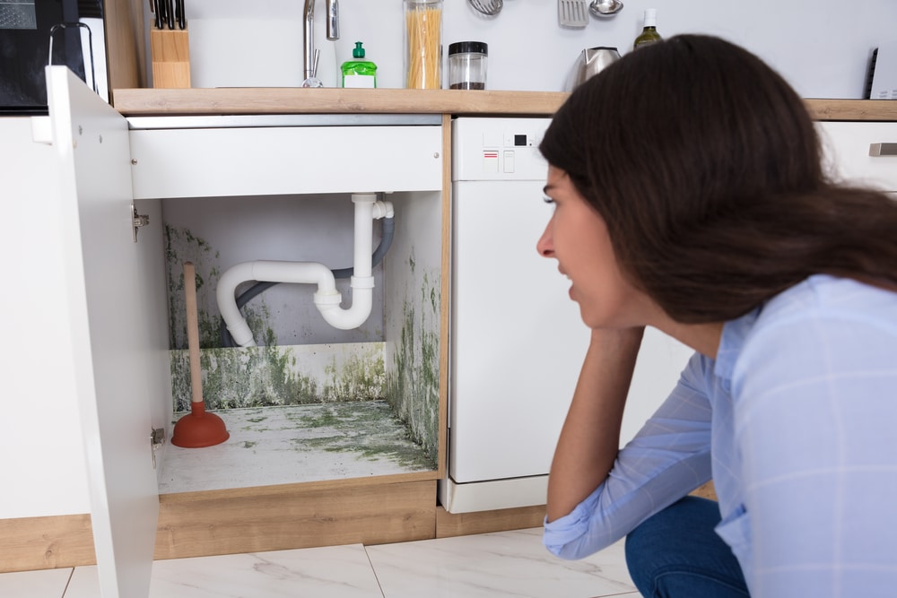 What Causes Mould in Kitchens