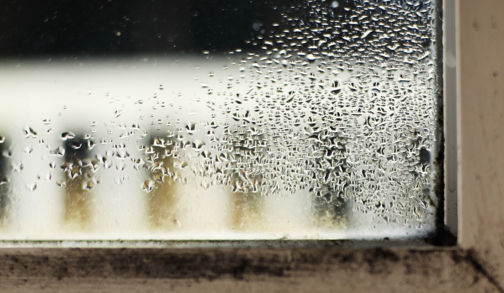 Condensation,On,Window,,Focus,On,Moisture.,Shows,Mould,And,Mildew