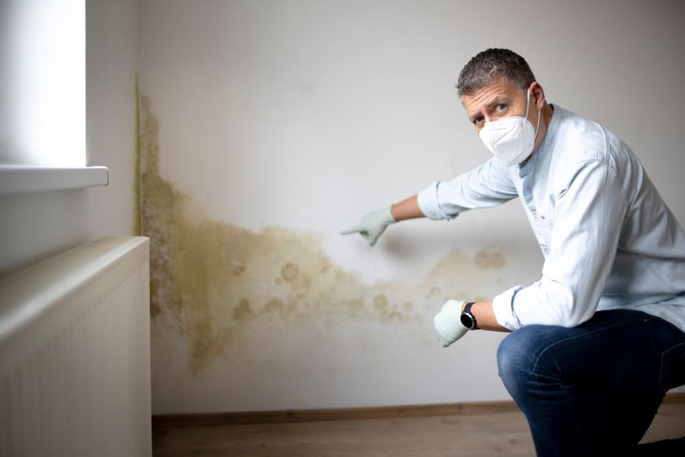 Man pointing at mould