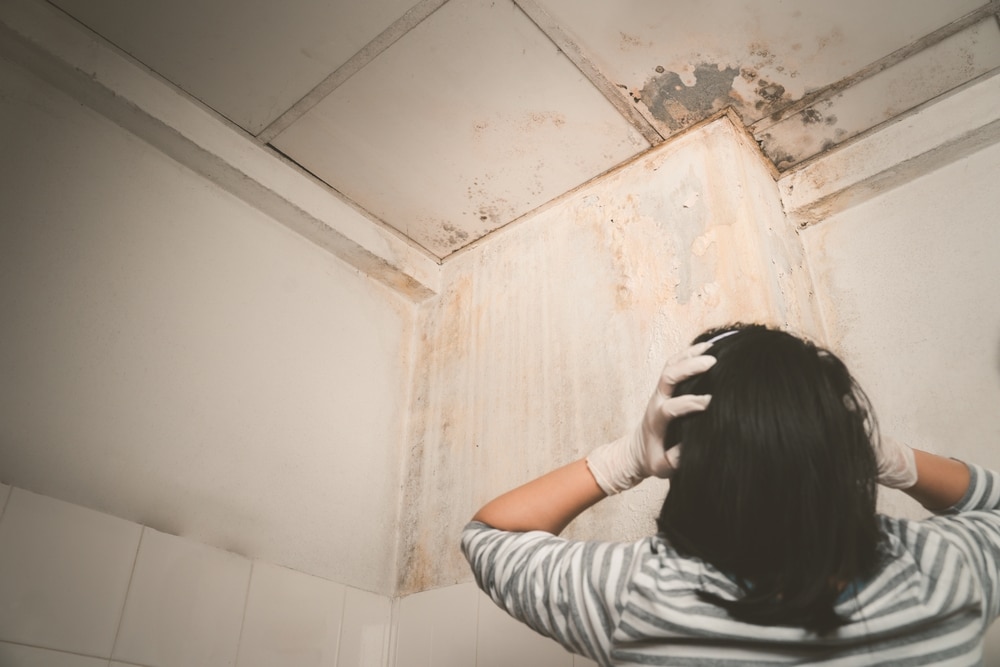 Stains,mold,Or,Fungus,Of,The,Wall,In,The,Shower,Room