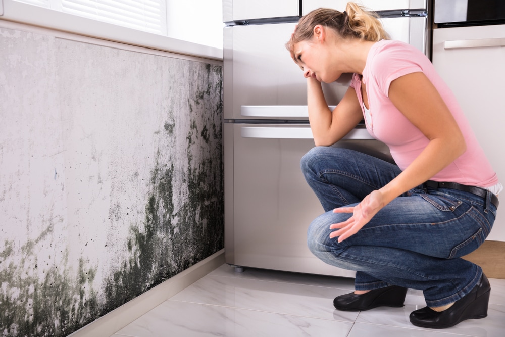 How to Get Rid of Mould