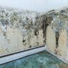 What Are Signs of Mould Exposure