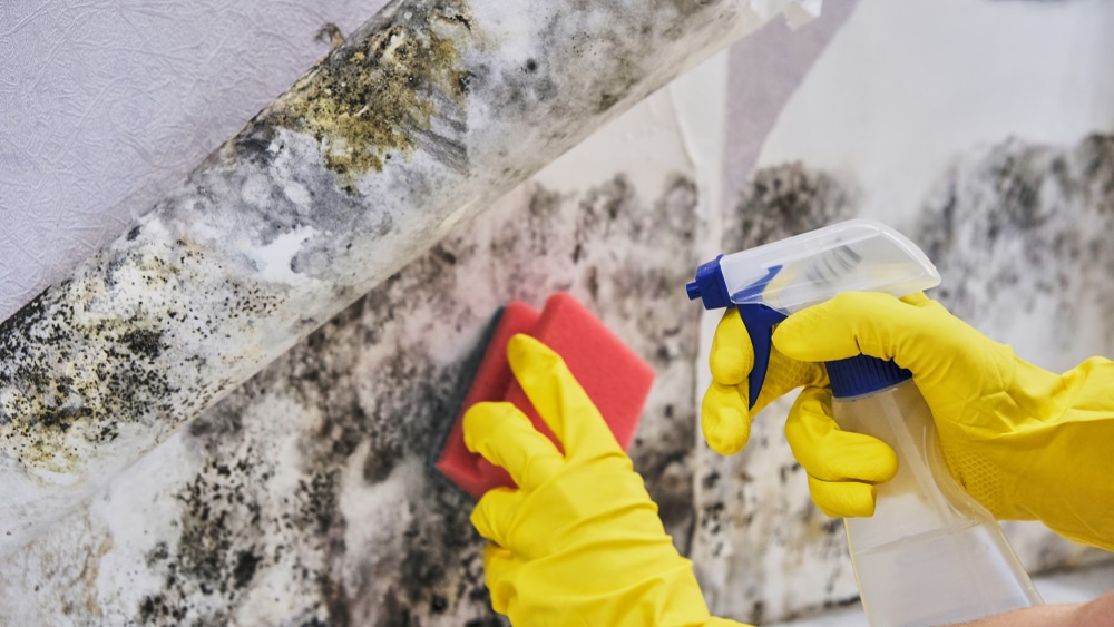 Are there natural remedies for mould?