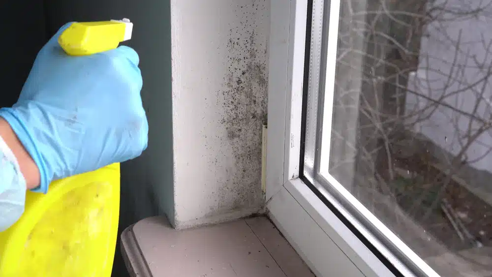 We at I-Sells endeavour to make sure our customers have all the information they need before choosing to invest in our mould solutions. Be sure to visit our blog page to gain knowledge on the wide array of factors and issues surrounding ventilation, mould, condensation, and much more. We hope to have answered the question ‘Can I leave vinegar on mould overnight?’’ We understand you may have more questions, Do not hesitate to contact us for more information with regard to whatever you need our help with. If you’d like to send us an email, click here. For other contact options, see below: Call us on 020 8463 9696 Visit us at our showroom: *OPENING TIMES* Monday – Friday: 8:00 am to 5:30 pm Saturday: 9:00 am to 12:00 pm Sunday: Closed 15 St John’s Parade Sidcup, Kent DA14 6ES United Kingdom