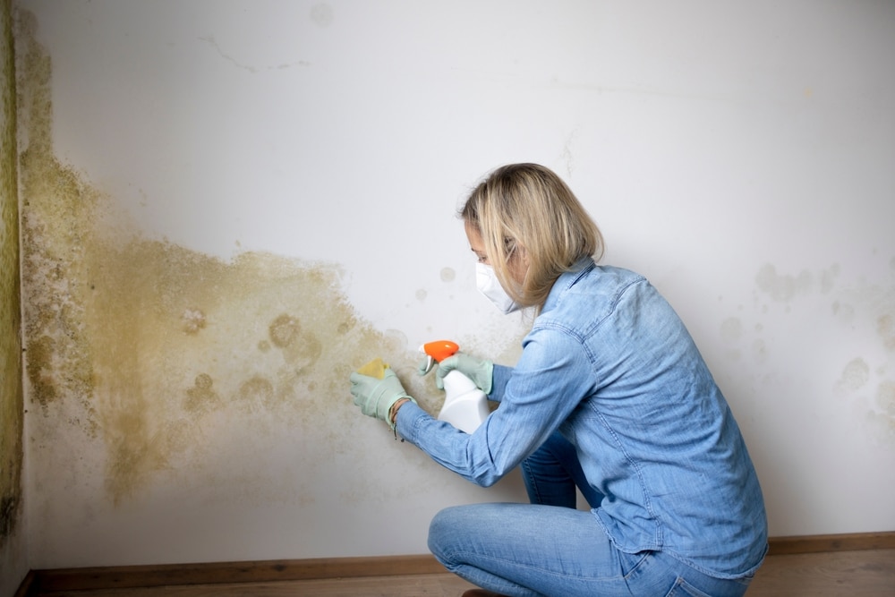 Top tips to help prevent mould forming and spreading