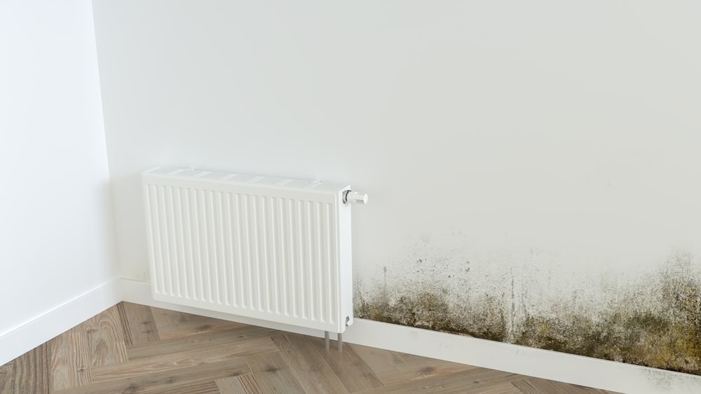 How does mould appear?