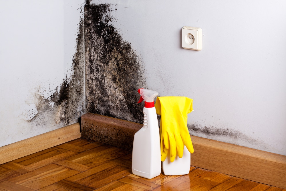 What can I use to help prevent mould?