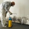 What Kills Wall Mould?