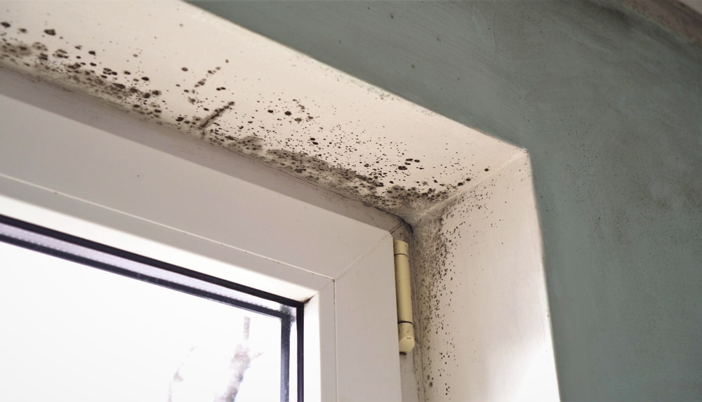 Symptoms of mould exposure