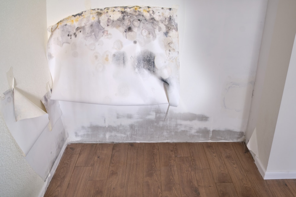 Mould treatment methods