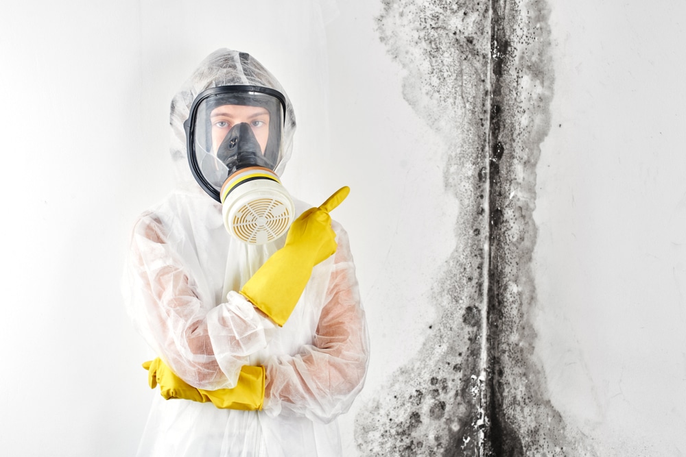 Stop the growth of mould today