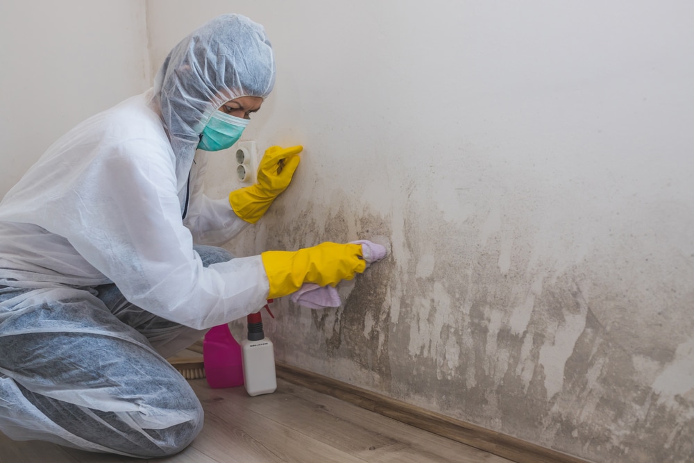 How to Stop Mould Growth?