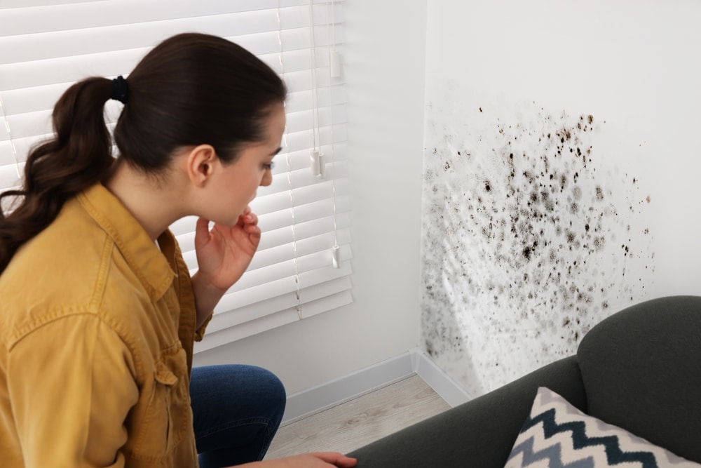 How to control mould in bedroom