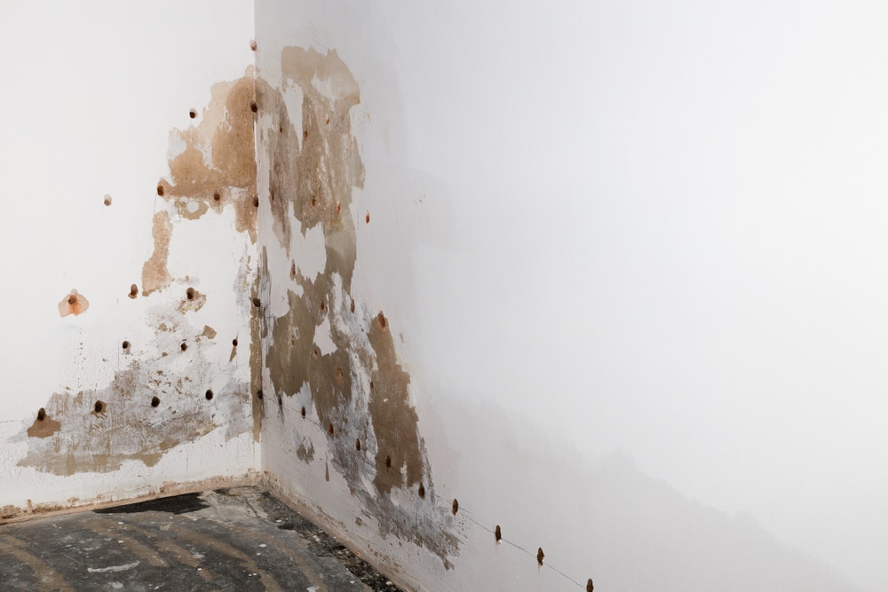 How to get rid of mould on walls permanently UK