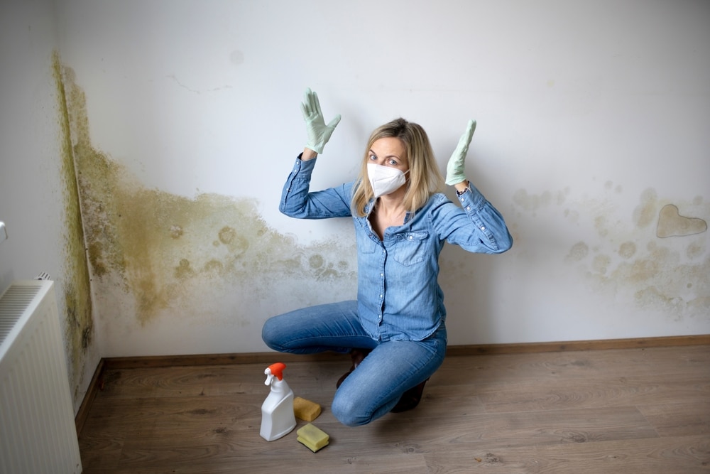 How to Get Rid of Mould on Walls Permanently UK?