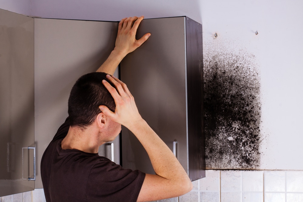 What happens if I get mould in my kitchen?