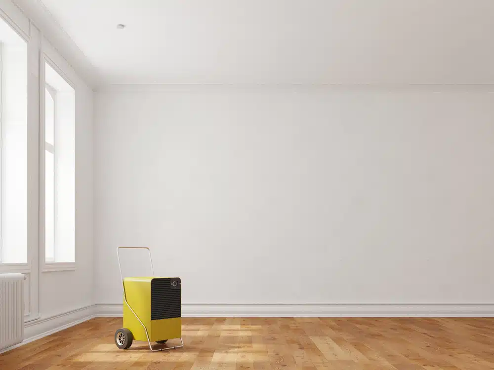 Positive Input Ventilation vs Dehumidifier: Which Is Better for My Home?