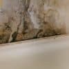 How to Get Rid of Mould in Bathroom