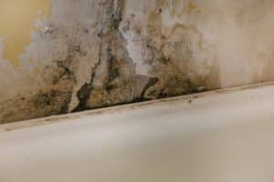 How to Get Rid of Mould in Bathroom