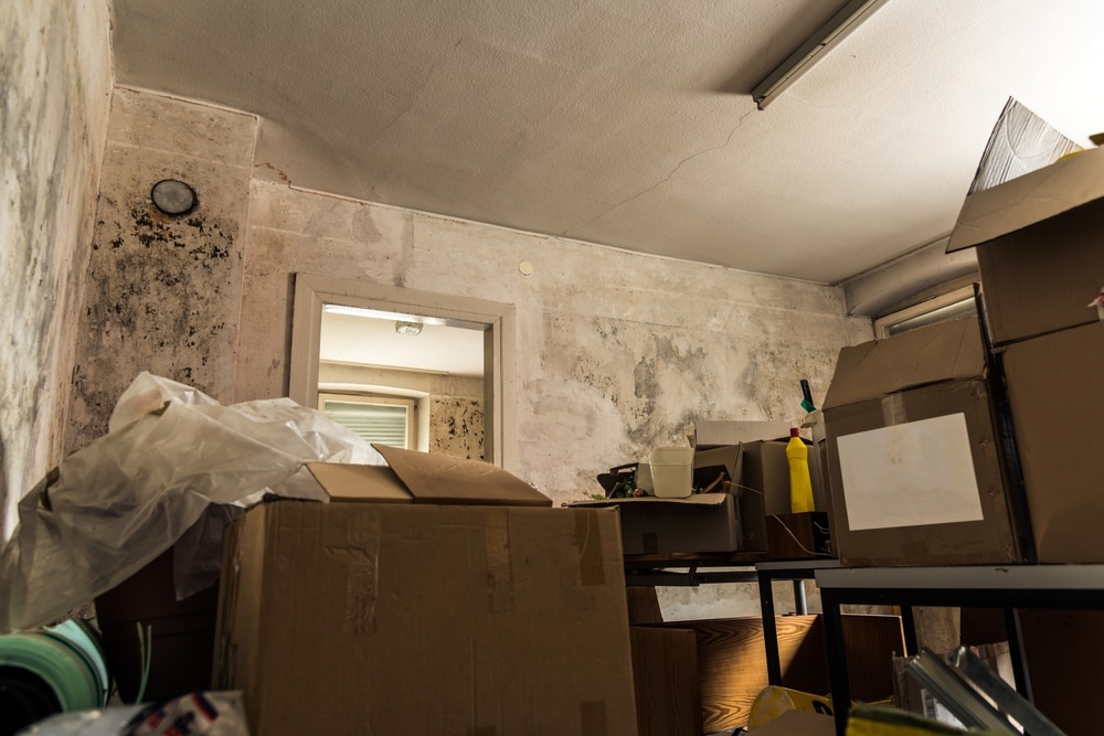 What happens if you don’t treat mould in your home