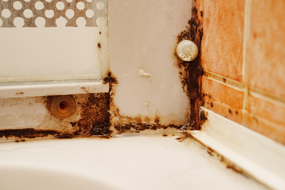 Keep mould out of your bathroom