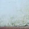 What Happens if You Don't Treat Mould in Your Home