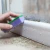 How to Remove Black Mould