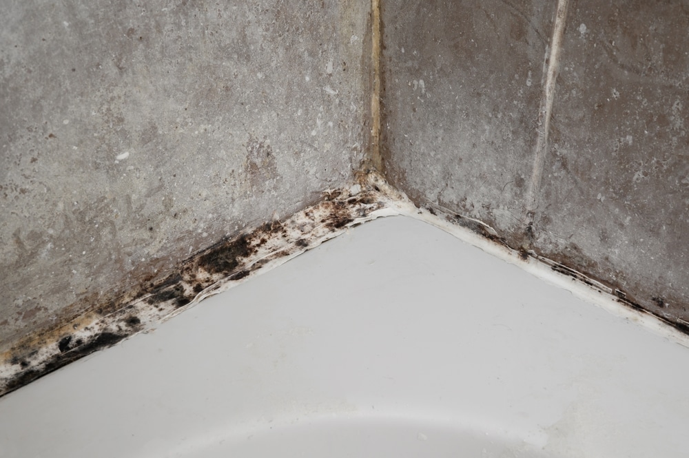 Do I have to remove mould in my bathroom?