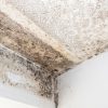 How Bathroom Extractor Fans Can Prevent Mould