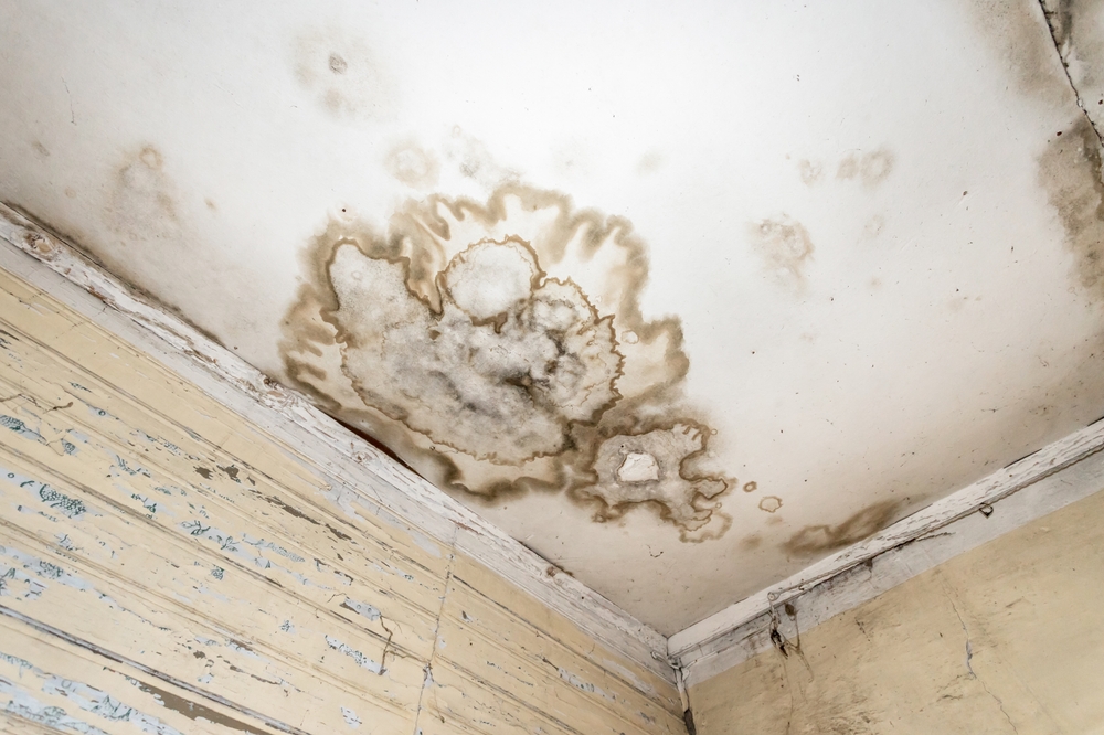 How bathroom extractor fans can prevent mould